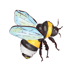 Similar image 22228649