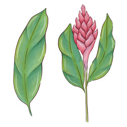 Similar image 22229047