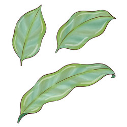 Similar image 22229048