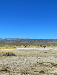 Similar image 22227035