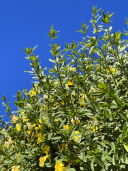 Similar image 22227049