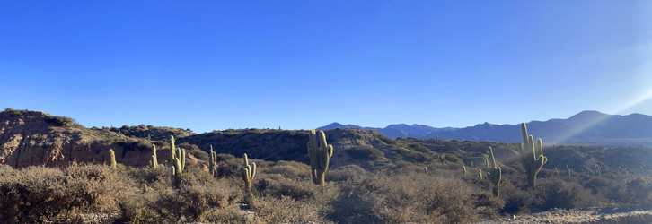 Similar image 22227050