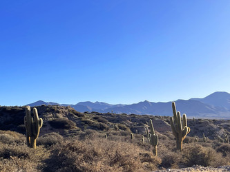 Similar image 22227051