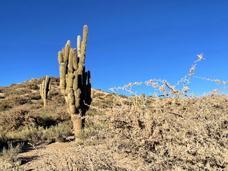 Similar image 22227052