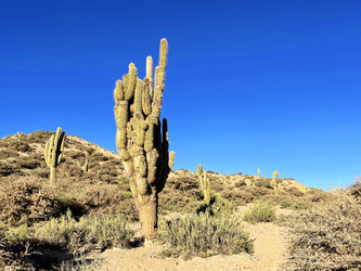 Similar image 22227053