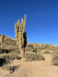 Similar image 22227054