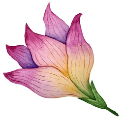 Similar image 22229078