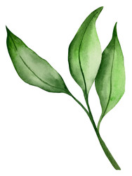 Similar image 22229079