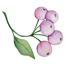 Similar image 22229080