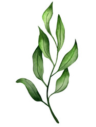 Similar image 22229081