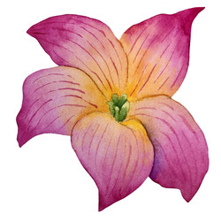 Similar image 22229082