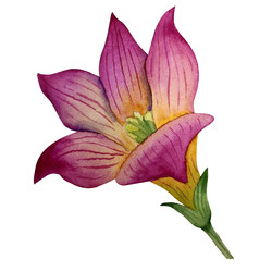 Similar image 22229083