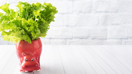 Similar image 22224454