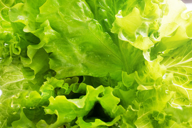 Similar image 22224455