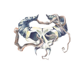 Similar image 22227067