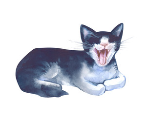 Similar image 22227081