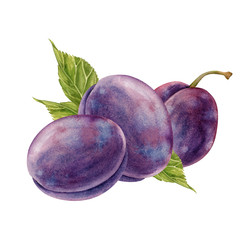 Similar image 22227084