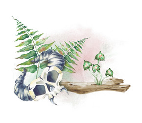 Similar image 22227301