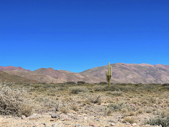 Similar image 22226920