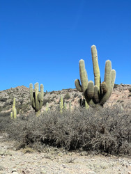 Similar image 22226925