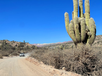 Similar image 22226927