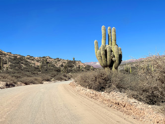 Similar image 22226928