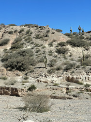 Similar image 22226931