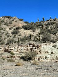 Similar image 22226932