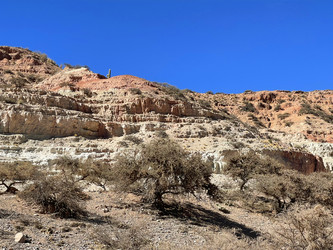 Similar image 22226934