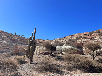 Similar image 22226936