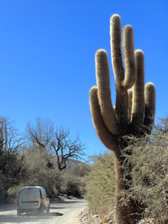 Similar image 22227086