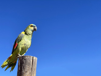 Similar image 22227091