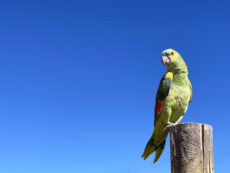 Similar image 22227092