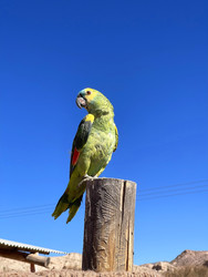 Similar image 22227093