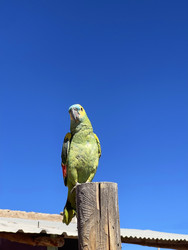 Similar image 22227094