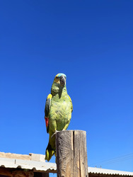 Similar image 22227095