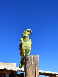 Similar image 22227096