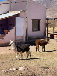 Similar image 22227097