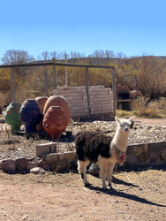 Similar image 22227099