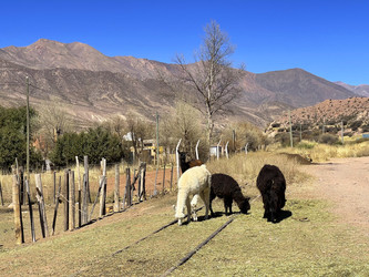 Similar image 22227100