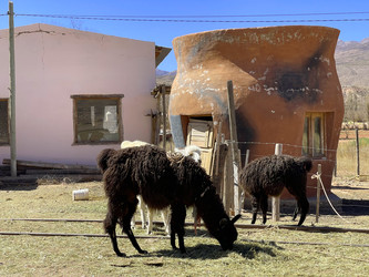 Similar image 22227102