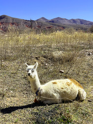 Similar image 22227103