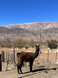 Similar image 22227105