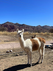 Similar image 22227106