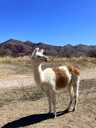 Similar image 22227107