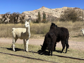 Similar image 22227109