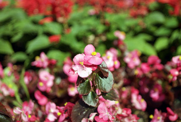 Similar image 22224150