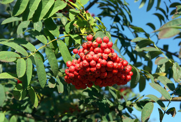 Similar image 22224153