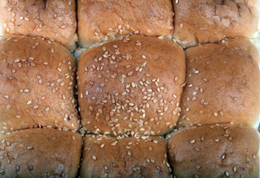 Similar image 22224157