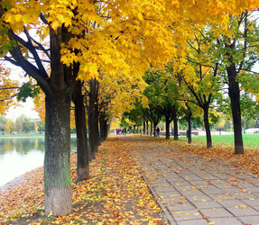 Similar image 22224161